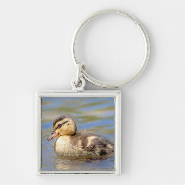 Porte-clés Mallard Duckling (Devant)