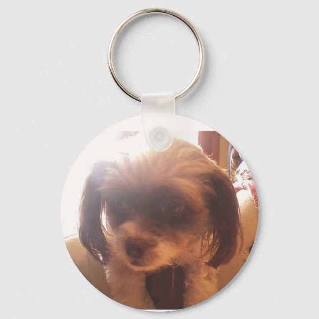 Porte-clés Maltipoo Keychain (Recto)