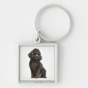 Porte-clés Maman Caniche Noir Chien Chiot Papa Fourrure Maman
