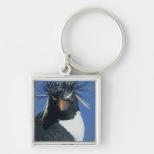 Porte-clés Manchot de Hoppe (Eudyptes chrysocome)