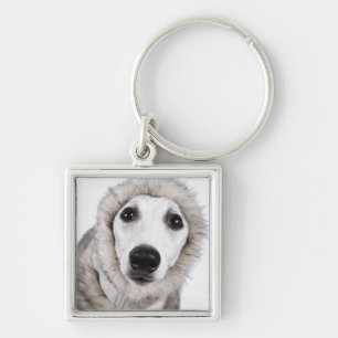Porte-clés Manteau de fourrure de port de chien de whippet,