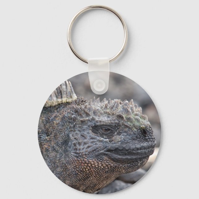 Porte-clés Marine Iguana (Recto)
