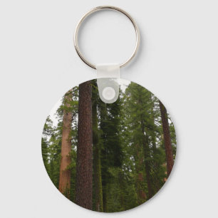 Porte-clés Mariposa Grove dans le parc national de Yosemite