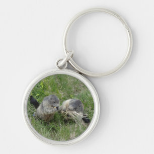 Porte-clés Marmot key chain