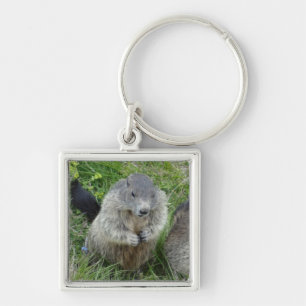Porte-clés Marmot porte - clé