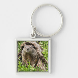 Porte-clés Marmotte dans un tronc creux