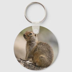 Porte-clés Marmotte huppée alpine