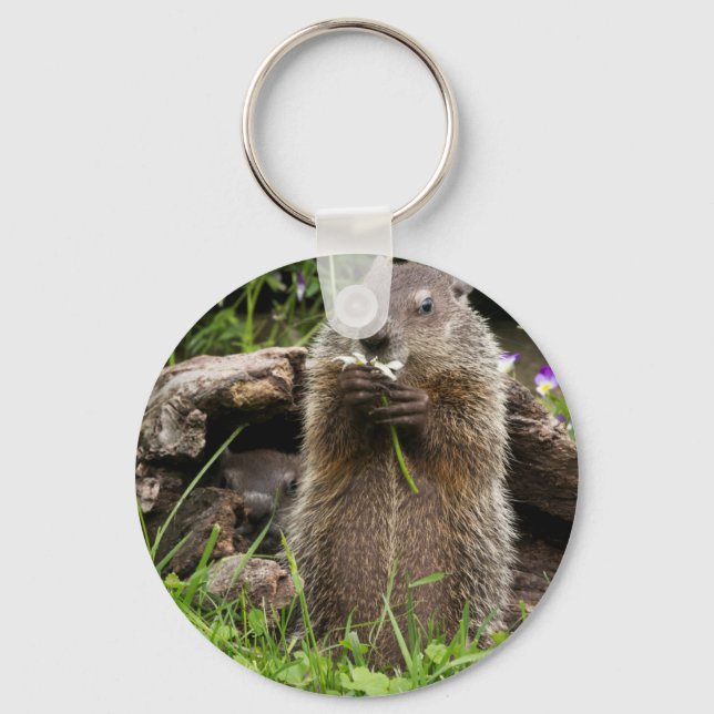 Porte-clés Marmotte mâchonnant une fleur (Recto)