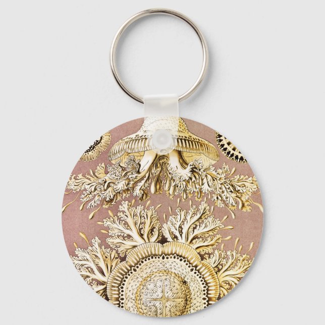 Porte-clés Méduses, Discomedusae par Ernst Haeckel (Recto)
