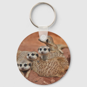 Porte-clés Meerkat