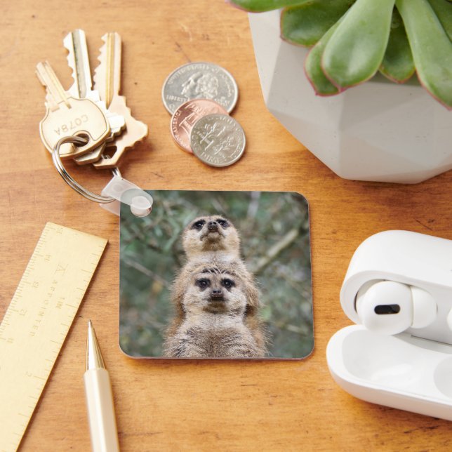 Porte-clés Meerkat 081 (Bureau)