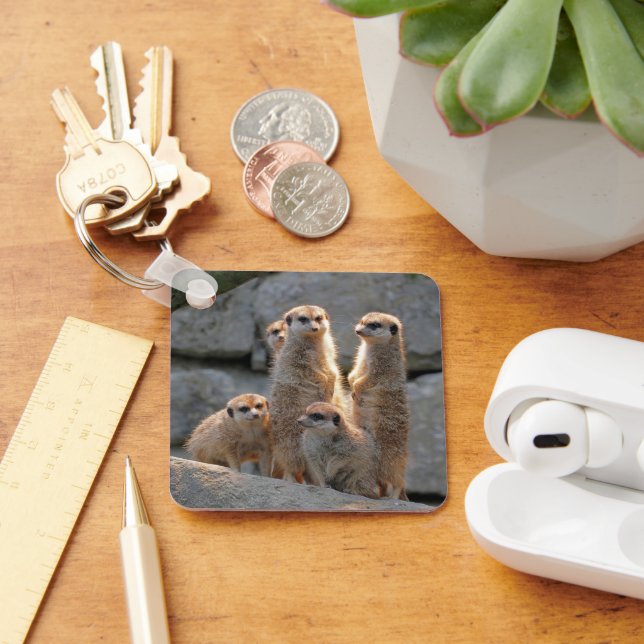 Porte-clés Meerkat 110 (Bureau)