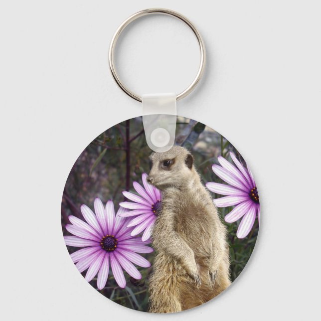 Porte-clés Meerkat_And_Daisies,_ Key Ring (Recto)