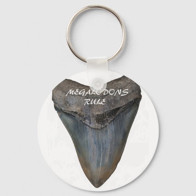 Porte-clés Megalodon Shark Tooth (Recto)
