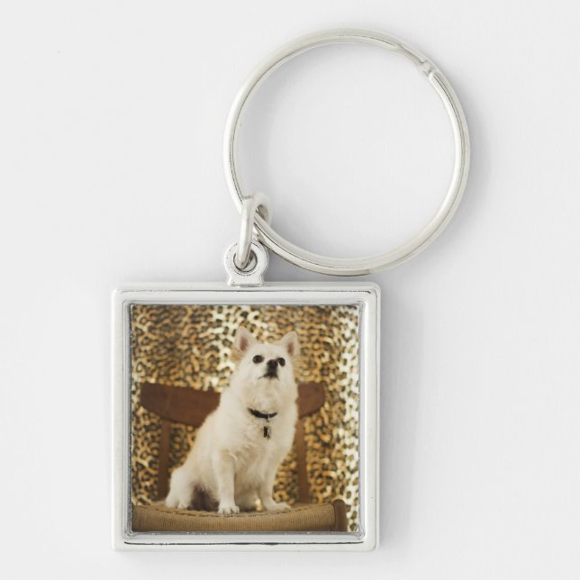 Porte-clés Mélange de Pomeranian (Devant)