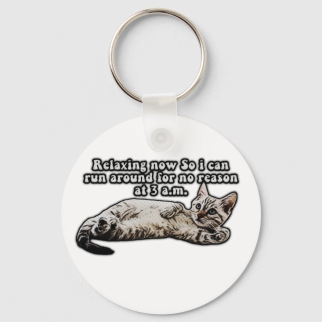 Porte-clés Mème de chat amusant pour les chatons et les propr (Recto)