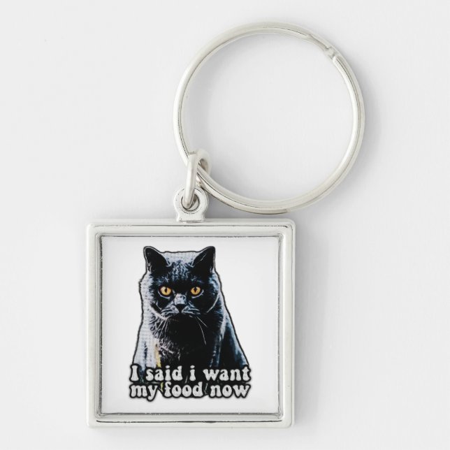 Porte-clés Mème de chat grincheux amusant pour les propriétai (Devant)