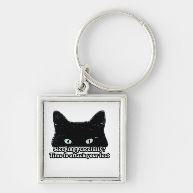 Porte-clés Mème de chat grincheux pour les amoureux de les ch (Devant)