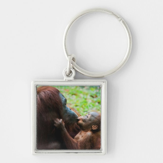 Porte-clés Mère orang-outan et bébé (Devant)