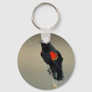 Porte-clés Merle à ailes rouges