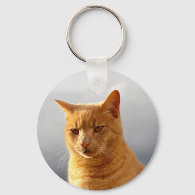 Porte-clés Merlin le chat gingembre (Recto)