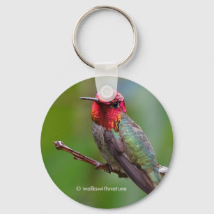 Porte-clés Merveilleux colibri d'Anna sur un arbre fruitier