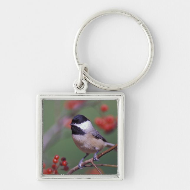 Porte-clés Mésange de Caroline (Devant)