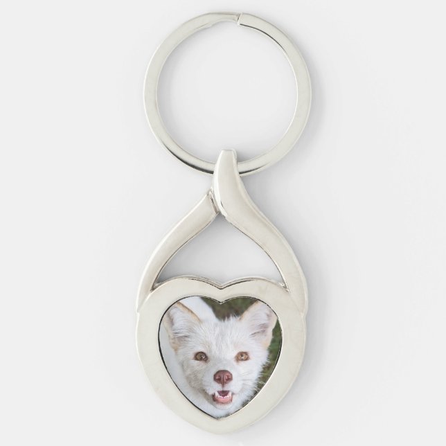 Porte-clés métallique en coco Wild Paws (Devant)