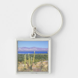 Porte-clés Mexique, Basse-Californie du Sud, Cardon Cactus à