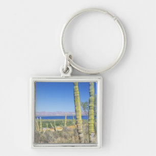 Porte-clés Mexique, Basse-Californie du Sud, Mulege, Bahia