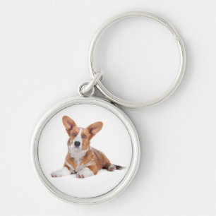 Porte-clés Mignon Cardigan Welsh Corgi Chien Enfant Amoureux