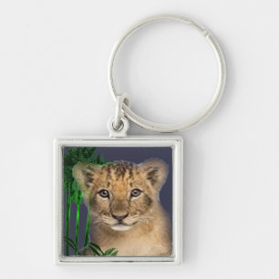 Porte-clés mignon-lion-petit