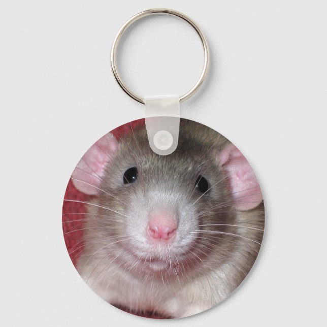 Porte-clés Mignon Rat Dumbo (Recto)
