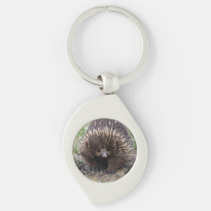 Porte-clés Mignonne Echidna d'Australie