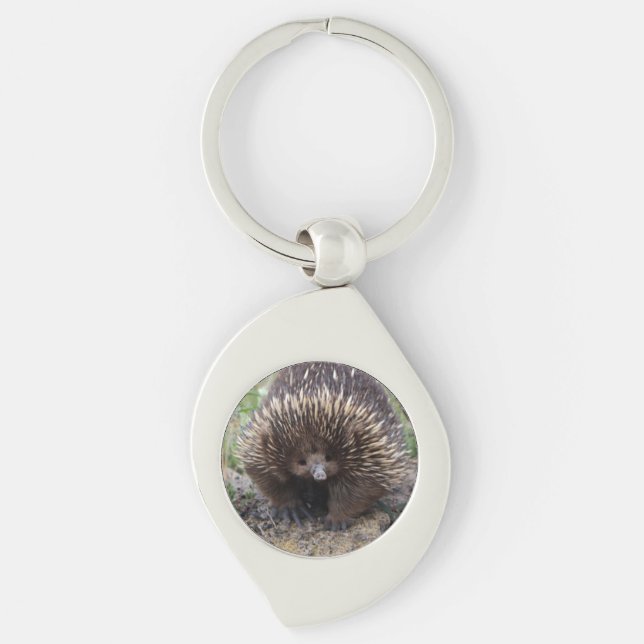Porte-clés Mignonne Echidna d'Australie (Devant)