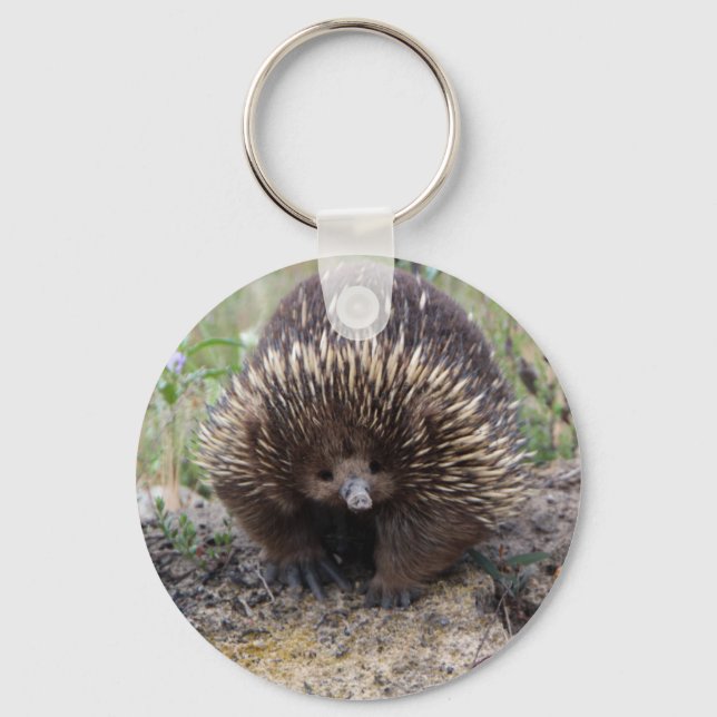 Porte-clés Mignonne Echidna d'Australie (Recto)