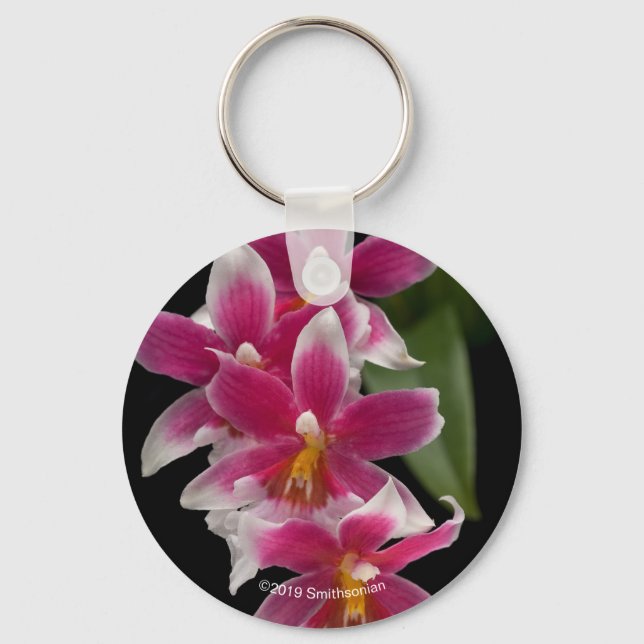 Porte-clés Miltonioda Sakura (Recto)