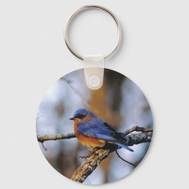 Porte-clés Missouris Bird porte - clé (Recto)