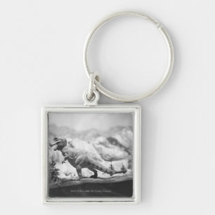 Porte-clés Modèle du rex B&W de tyrannosaurus