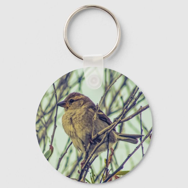 Porte-clés Moineau dans l'arbre (Recto)