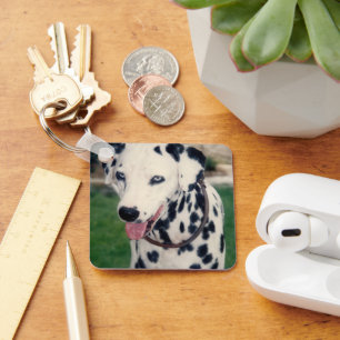 Porte-clés Mon Ami Pet Téléchargez Votre Propre Photo Personn
