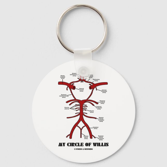 Porte-clés Mon Cercle De Willis (Artères Humour Anatomique) (Recto)