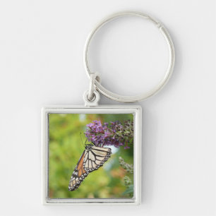 Porte-clés Monarque papillon sur Buddleia pourpre