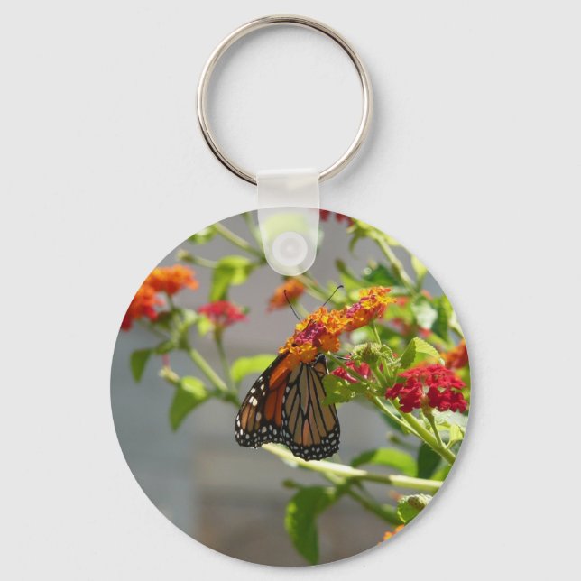 Porte-clés Monarque papillon sur Buddleia rouge (Recto)