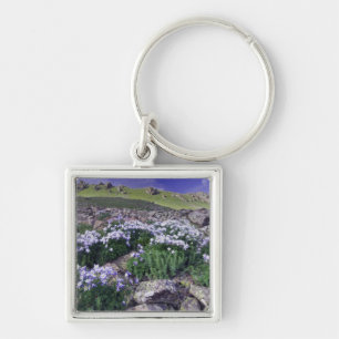 Porte-clés Montagnes et fleurs sauvages dans une prairie alpi