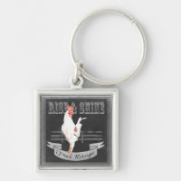 Monter et briller le coq