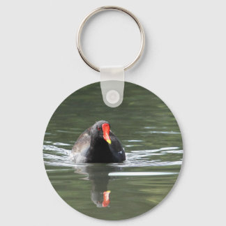 Porte-clés Moorhen et réflexion