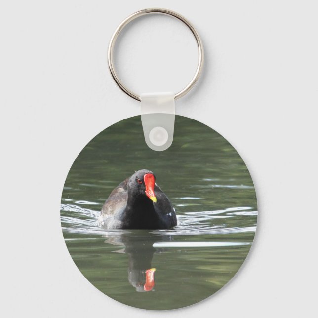 Porte-clés Moorhen et réflexion (Recto)