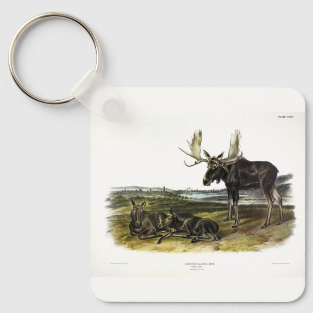 Porte-clés Moose Deer (Moose - Alces alces) par Audubon (Recto)