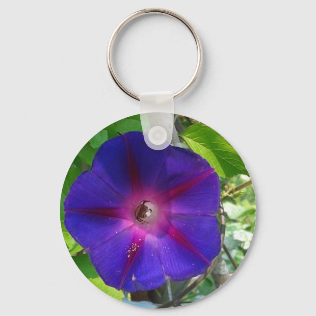 Porte-clés Morning Glory (Recto)